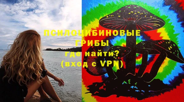 прущий лед Вяземский