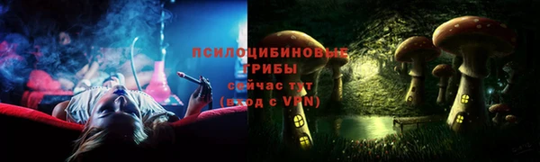 прущий лед Вяземский