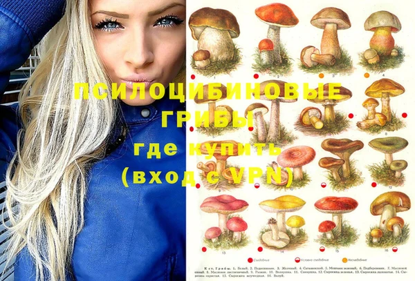 герыч Вязьма