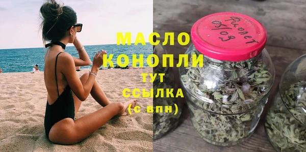 прущий лед Вяземский