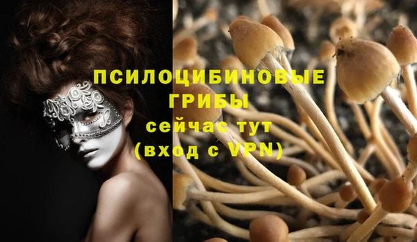 ГАЛЛЮЦИНОГЕННЫЕ ГРИБЫ Волоколамск
