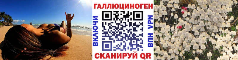 Галлюциногенные грибы Psilocybe  купить   Электрогорск 